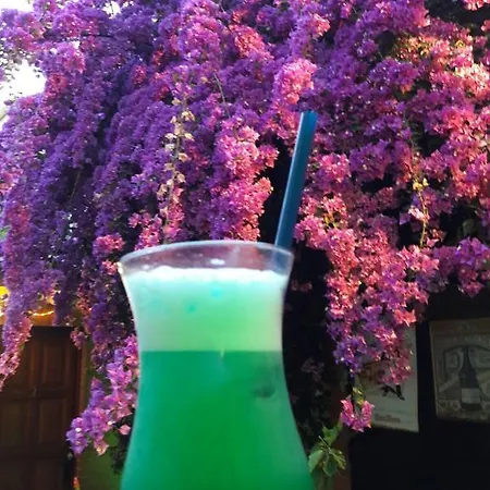 بيت ضيافة Casa Austria 3*