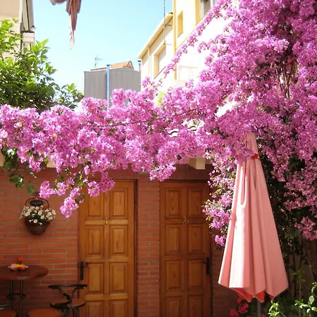 Guest house Casa Austria 3*
